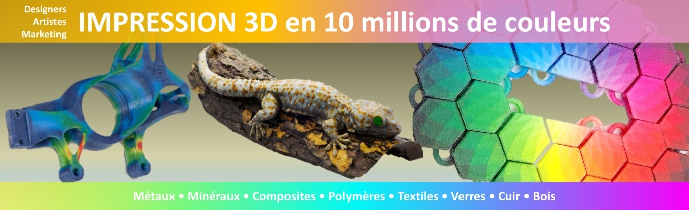 Impression 3D Couleurs